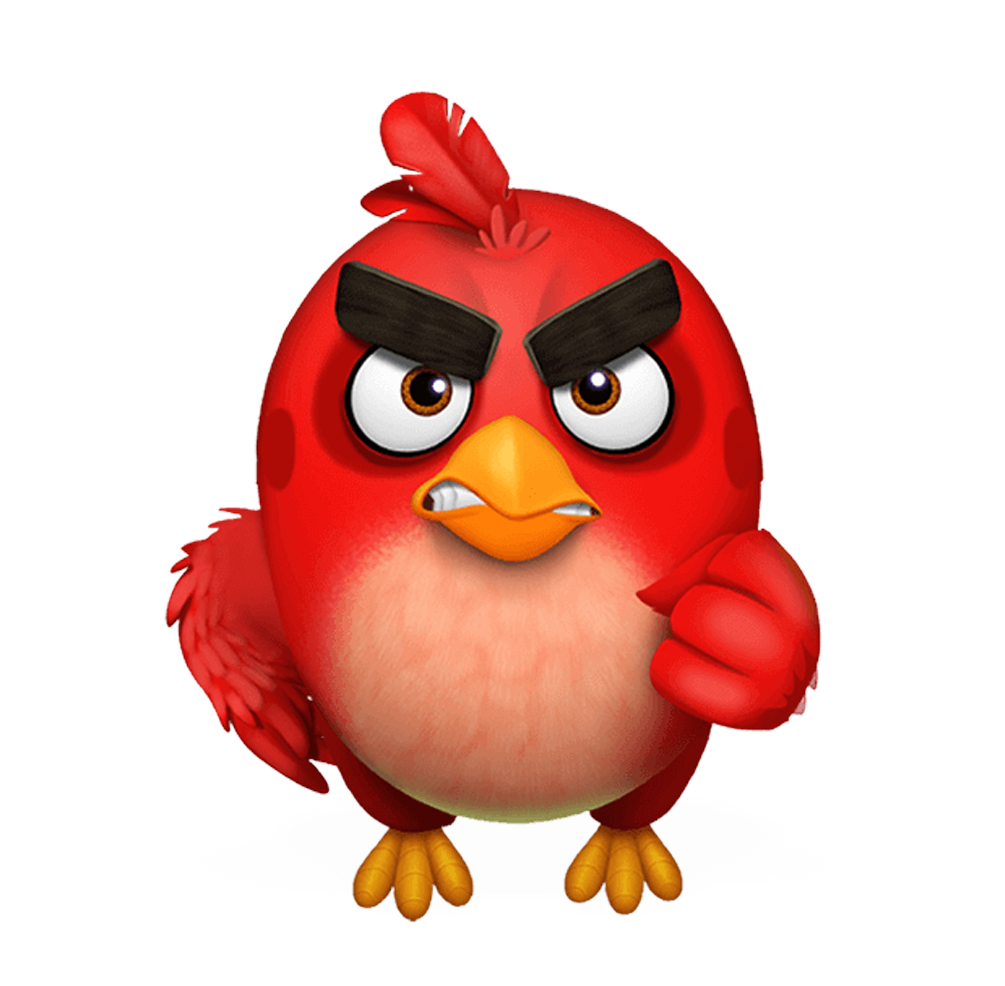 Understanding Angry Birds: A Complete Guide to the Real Birds