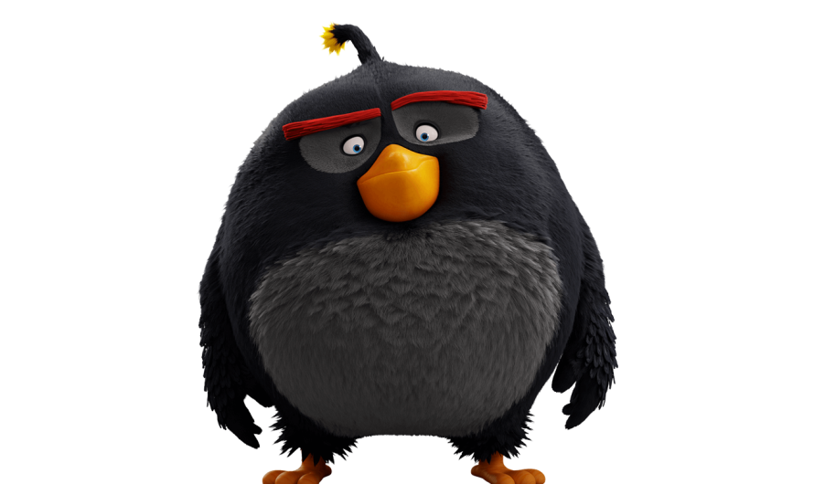 Discover the Fascinating Story Behind the Black Bird of Angry Birds: A Real-Life Inspiration